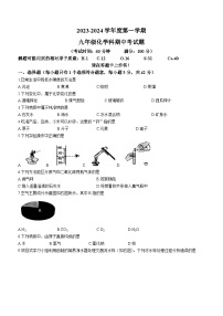 海南省文昌市2023-2024学年九年级上学期期中化学试题