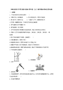 湖北省黄石市阳新县富川中学2023-2024学年九年级上学期期中模拟化学试题