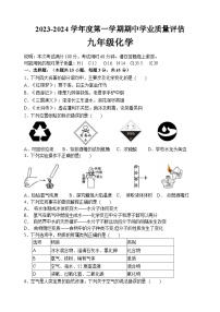 广东省汕头市龙湖区碧华实验学校2023-2024学年九年级上学期期中学业质量评估化学试卷