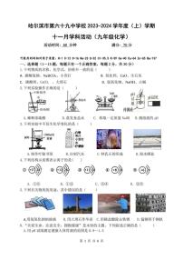 2023-2024学年黑龙江省哈尔滨市69中学九年级上化学11月月考测试和答案