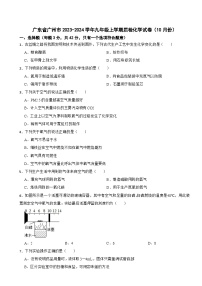 广东省广州市2023-2024学年九年级上学期质检化学试卷（10月份）