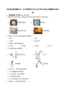 吉林省白城市通榆九中、育才学校联考2023-2024学年九年级上学期期中化学试卷