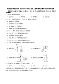 安徽省合肥市庐江县2023-2024学年九年级上学期期末质量评价化学预测试题