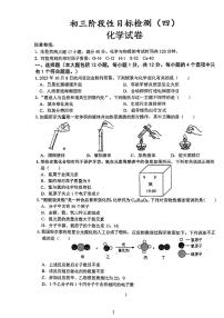 安徽省六安皋城中学2023-2024学年九年级上学期12月月考化学试题