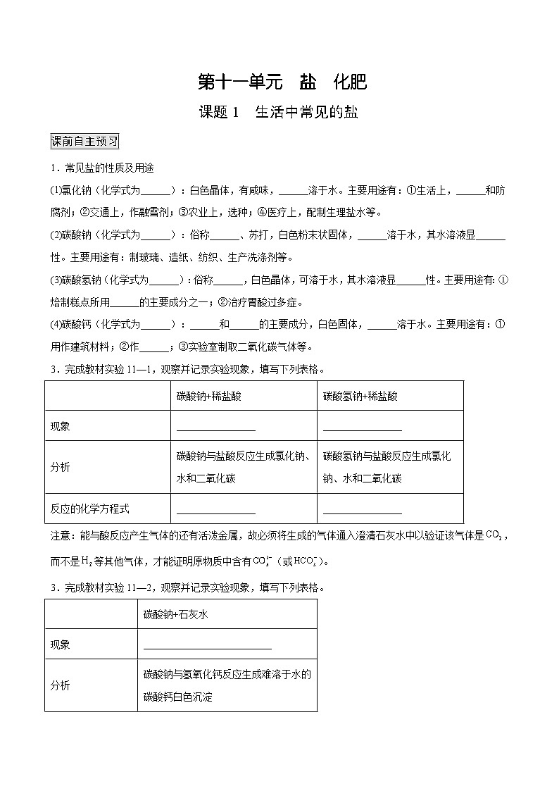 人教版九年级化学下册 11.1 生活中常见的盐（原卷版）01