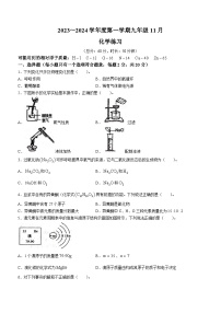 江苏省沭阳市怀文中学2023-2024学年九年级上学期第三次月考化学试卷