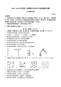 山东省临沂市罗庄区2023-2024学年九年级上学期期中考试化学试题