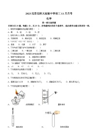 北京市北师大附属实验中学2023-2024学年九年级上学期11月月考化学试卷