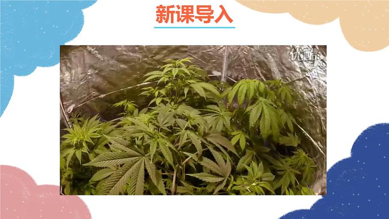 鲁教版化学九年级下册 第十一单元 第三节 化学与农业生产课件02