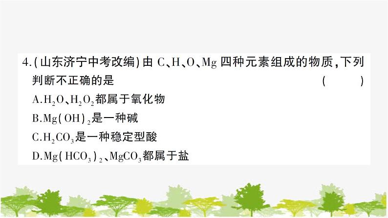 鲁教版化学九年级下册 第七单元创优检测卷课件05