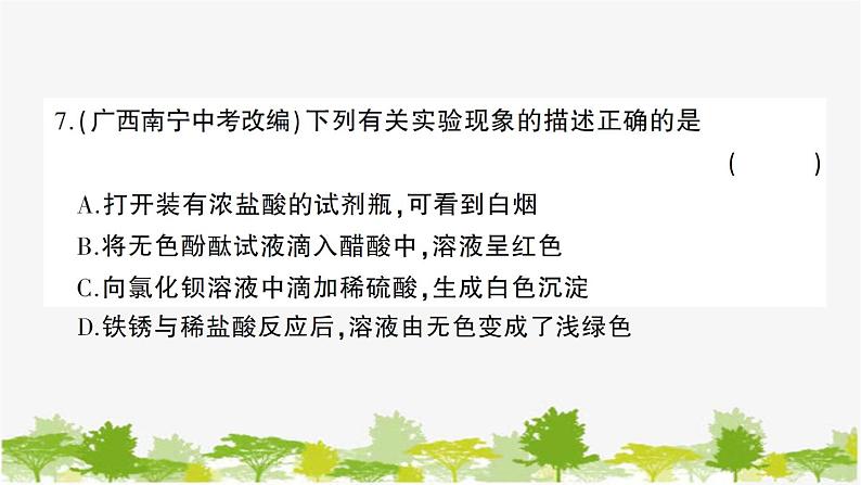 鲁教版化学九年级下册 第七单元创优检测卷课件08