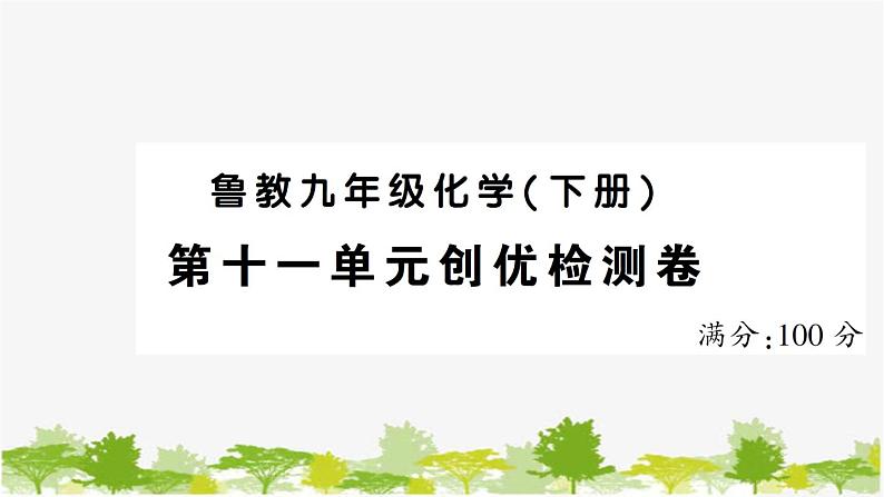 鲁教版化学九年级下册 第十一单元创优检测卷课件第1页