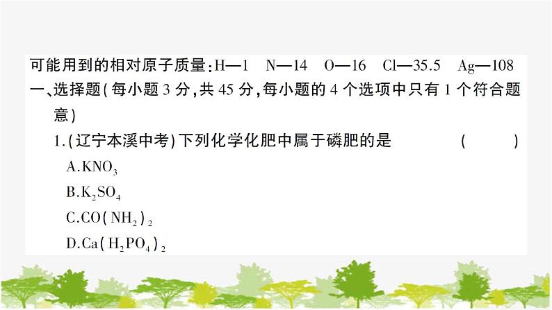 鲁教版化学九年级下册 第十一单元创优检测卷课件第2页