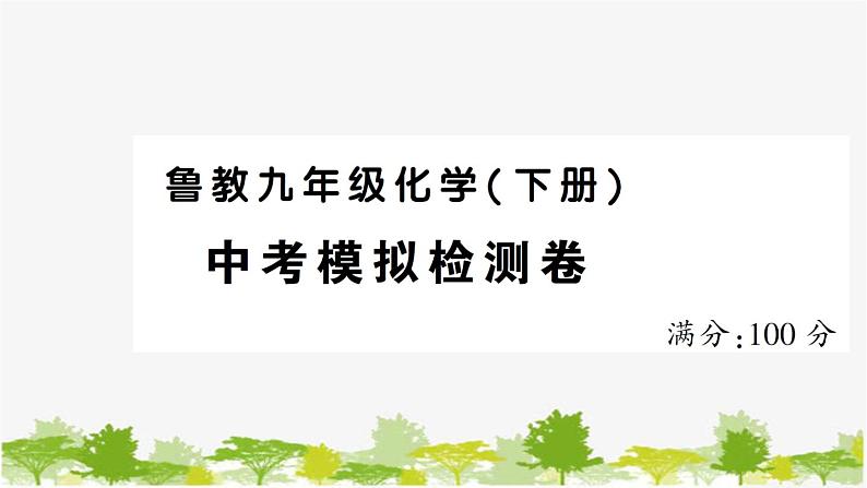 鲁教版化学九年级下册 中考模拟检测卷课件01