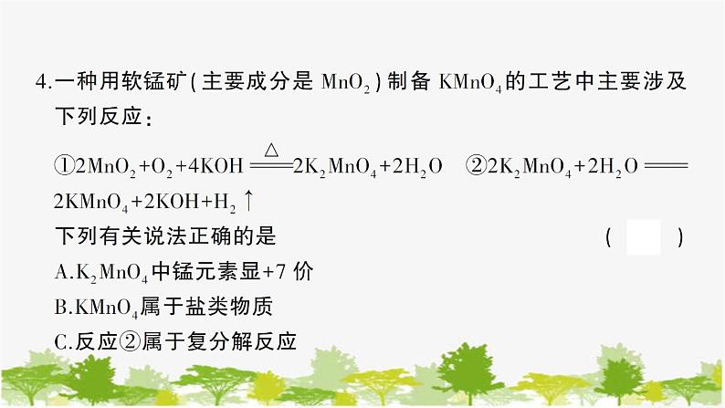 鲁教版化学九年级下册 中考模拟检测卷课件05