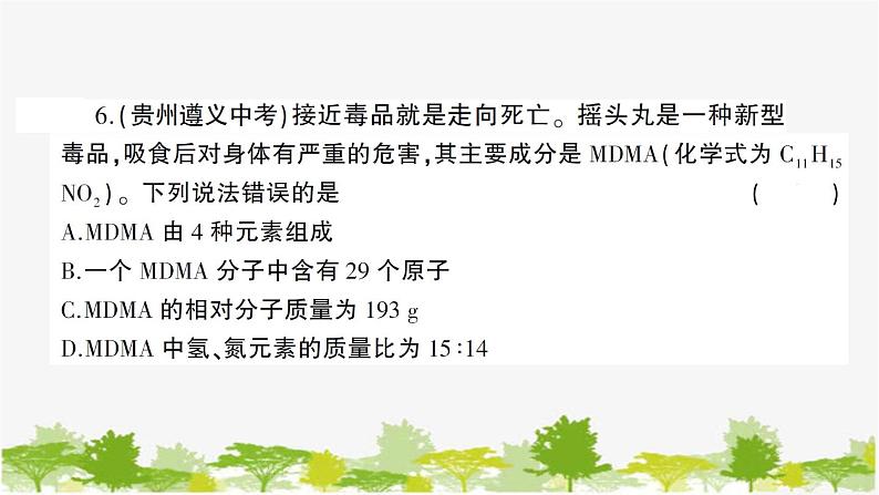 鲁教版化学九年级下册 中考模拟检测卷课件07