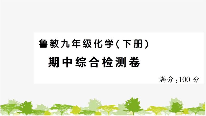 鲁教版化学九年级下册 期中综合检测卷课件第1页