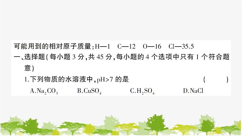 鲁教版化学九年级下册 期中综合检测卷课件第2页