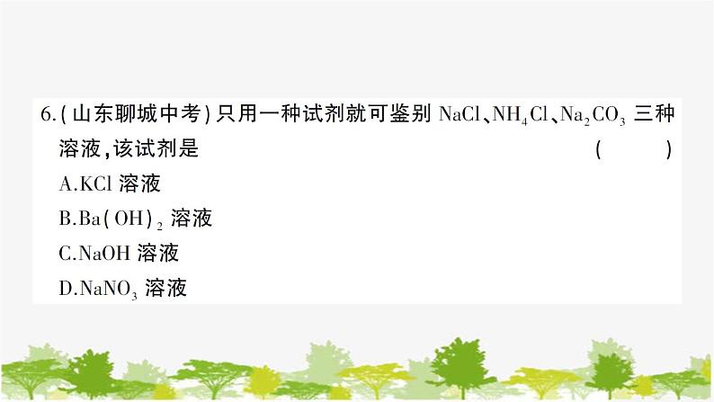 鲁教版化学九年级下册 期中综合检测卷课件第7页