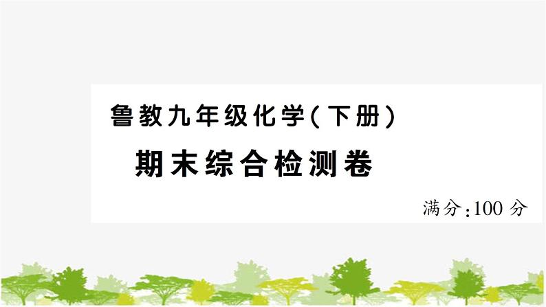 鲁教版化学九年级下册 期末综合检测卷课件01