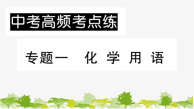 鲁教版化学九年级下册 专题一 化学用语课件第1页