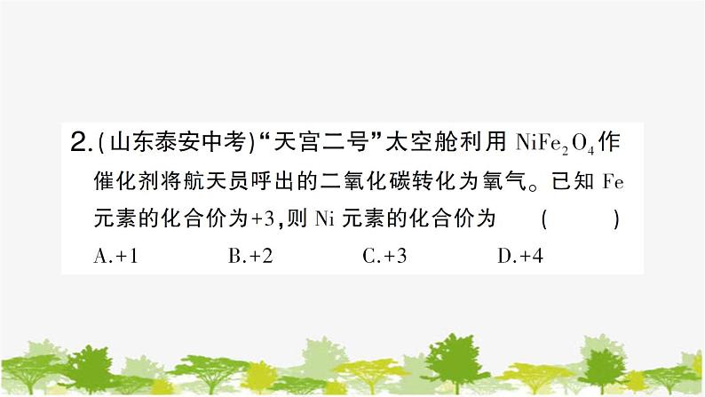 鲁教版化学九年级下册 专题一 化学用语课件第8页