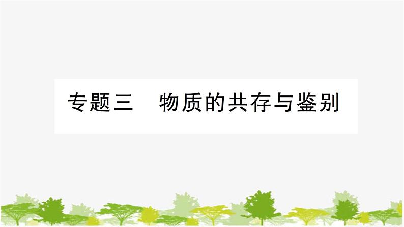 鲁教版化学九年级下册 专题三 物质的共存与鉴别课件第1页