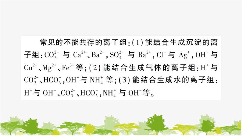 鲁教版化学九年级下册 专题三 物质的共存与鉴别课件第3页