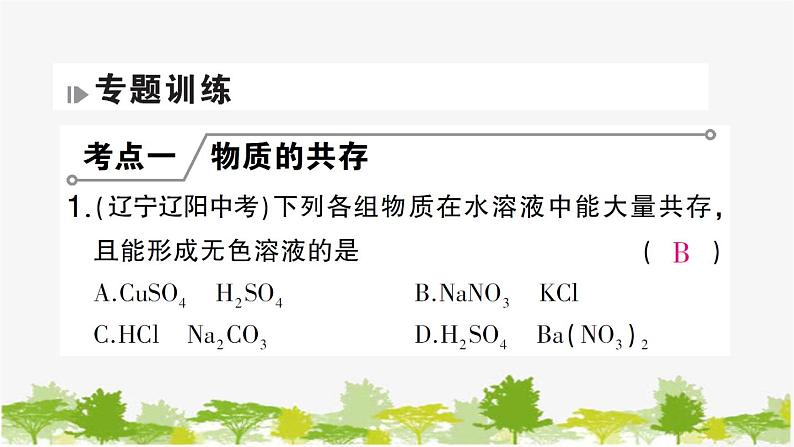 鲁教版化学九年级下册 专题三 物质的共存与鉴别课件第7页