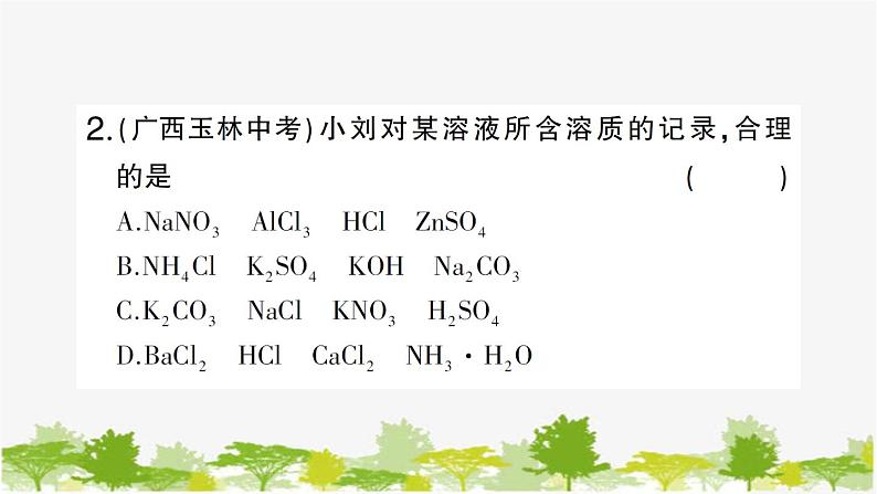 鲁教版化学九年级下册 专题三 物质的共存与鉴别课件第8页