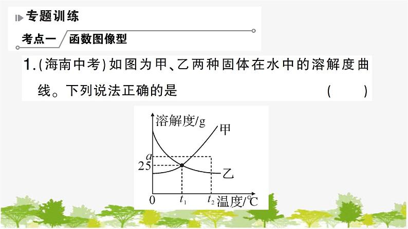 鲁教版化学九年级下册 专题二 图表题课件05