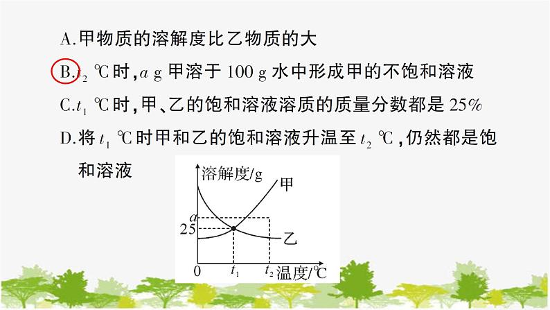 鲁教版化学九年级下册 专题二 图表题课件06