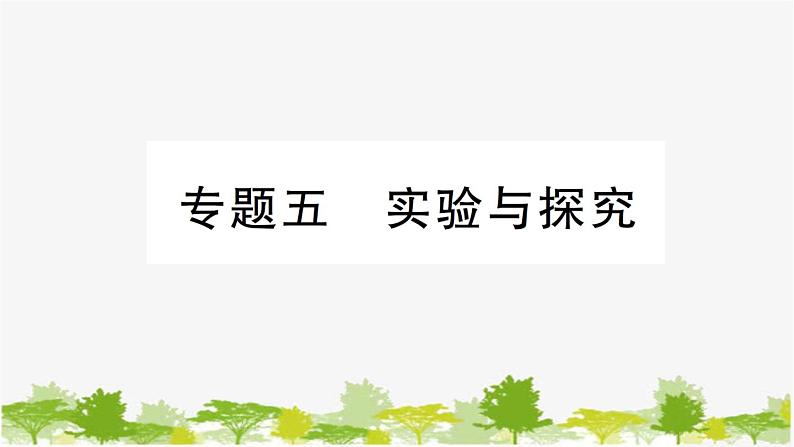 鲁教版化学九年级下册 专题五 实验与探究课件第1页