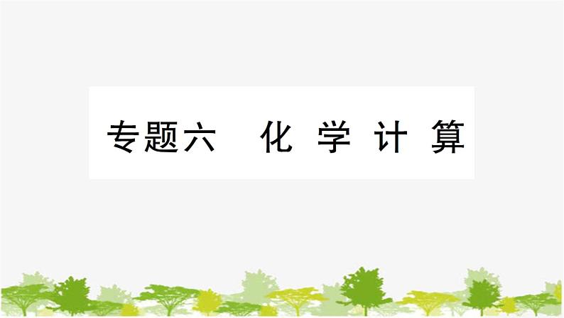 鲁教版化学九年级下册 专题六 化学计算课件01