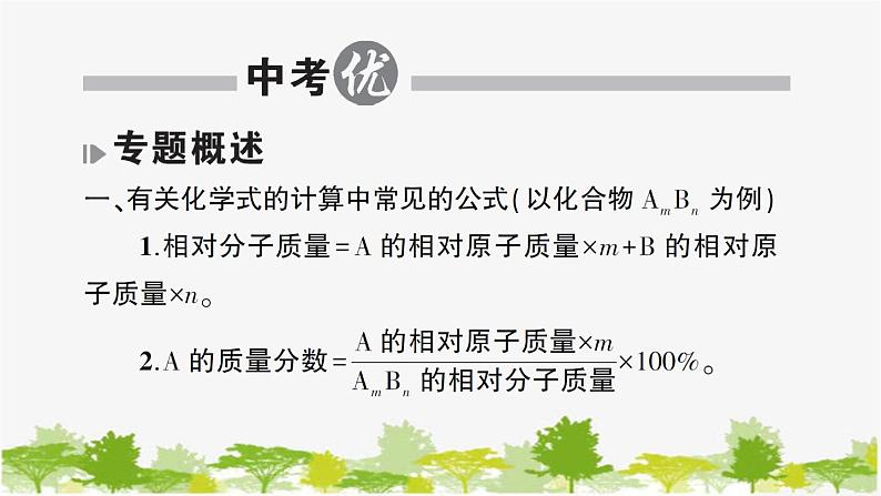 鲁教版化学九年级下册 专题六 化学计算课件02