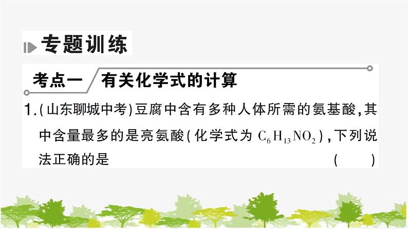 鲁教版化学九年级下册 专题六 化学计算课件08