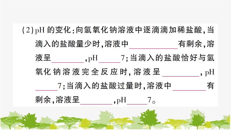 第四节 酸碱中和反应第4页