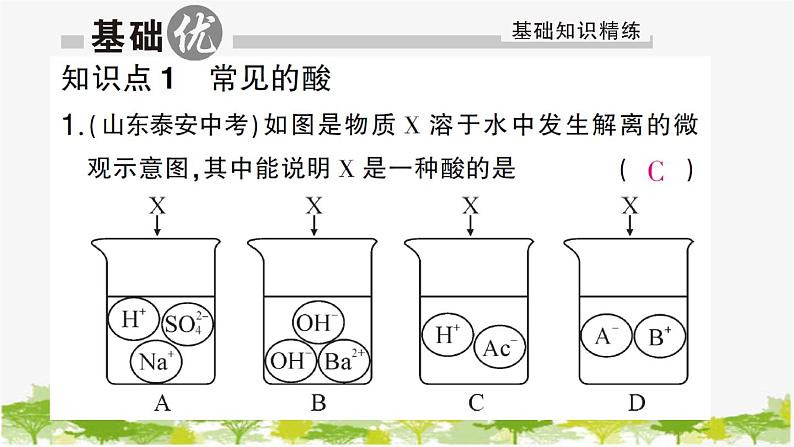 第1课时 常见的酸 酸的物理性质第6页