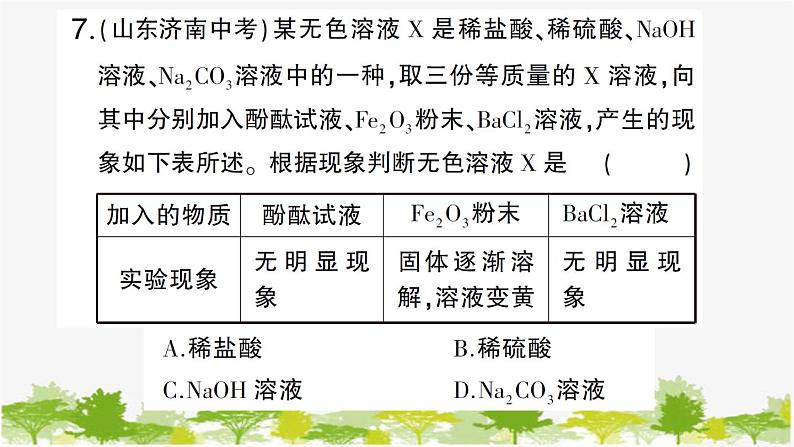 周周练1（第七单元第一、二节复习训练）第8页