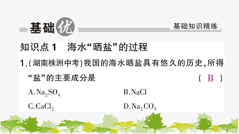 第1课时 海水“晒盐”的过程第6页