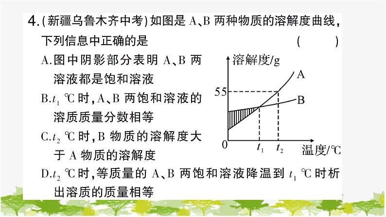 周周练4（第八单元复习训练）第6页