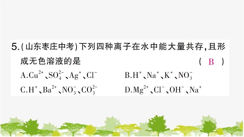 周周练4（第八单元复习训练）第7页