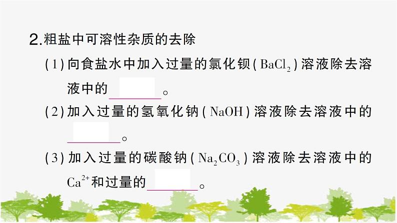 第3课时 粗盐的提纯第3页