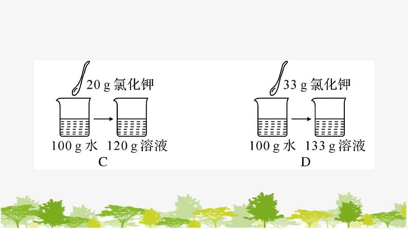 周周练3（第八单元第一、二节复习训练）第4页