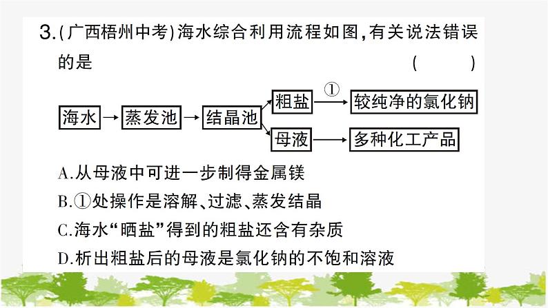 周周练3（第八单元第一、二节复习训练）第5页