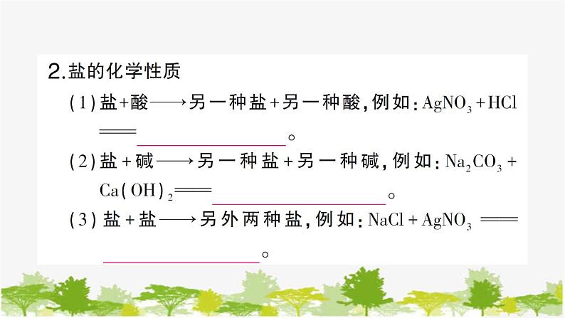 第2课时 盐的化学性质及复分解反应的实质第5页