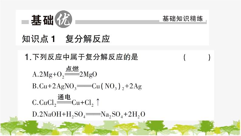 第2课时 盐的化学性质及复分解反应的实质第6页