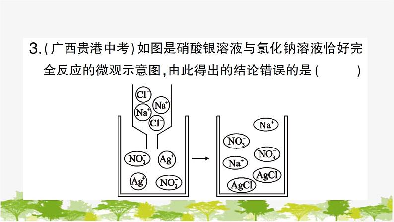 第2课时 盐的化学性质及复分解反应的实质第8页