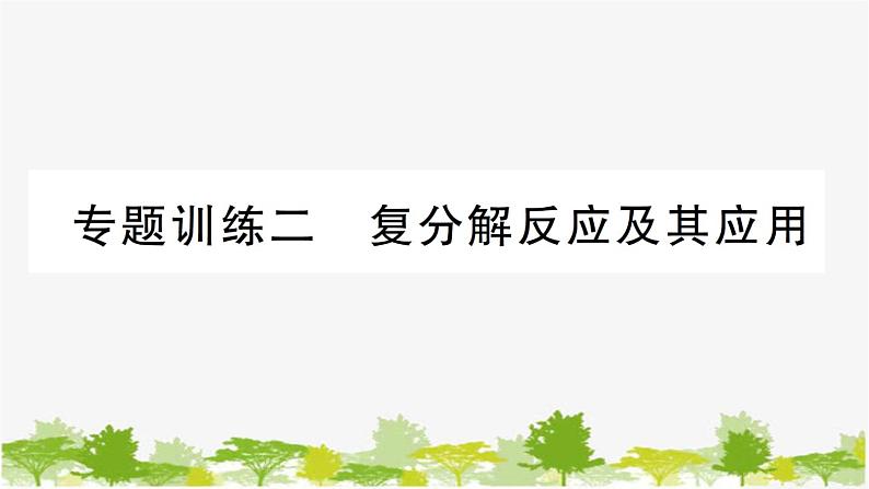 专题训练二 复分解反应及其应用第1页