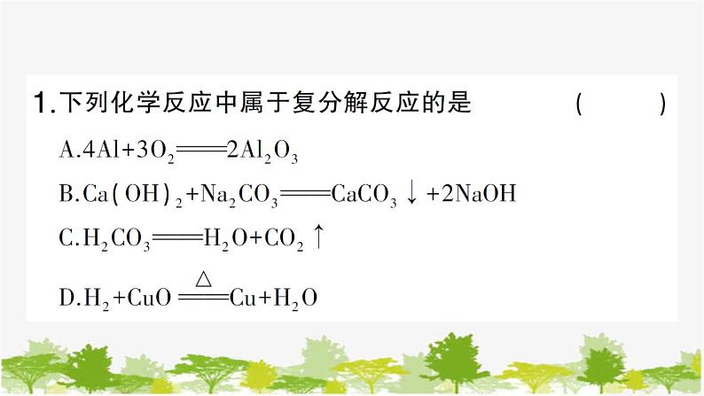 专题训练二 复分解反应及其应用第3页